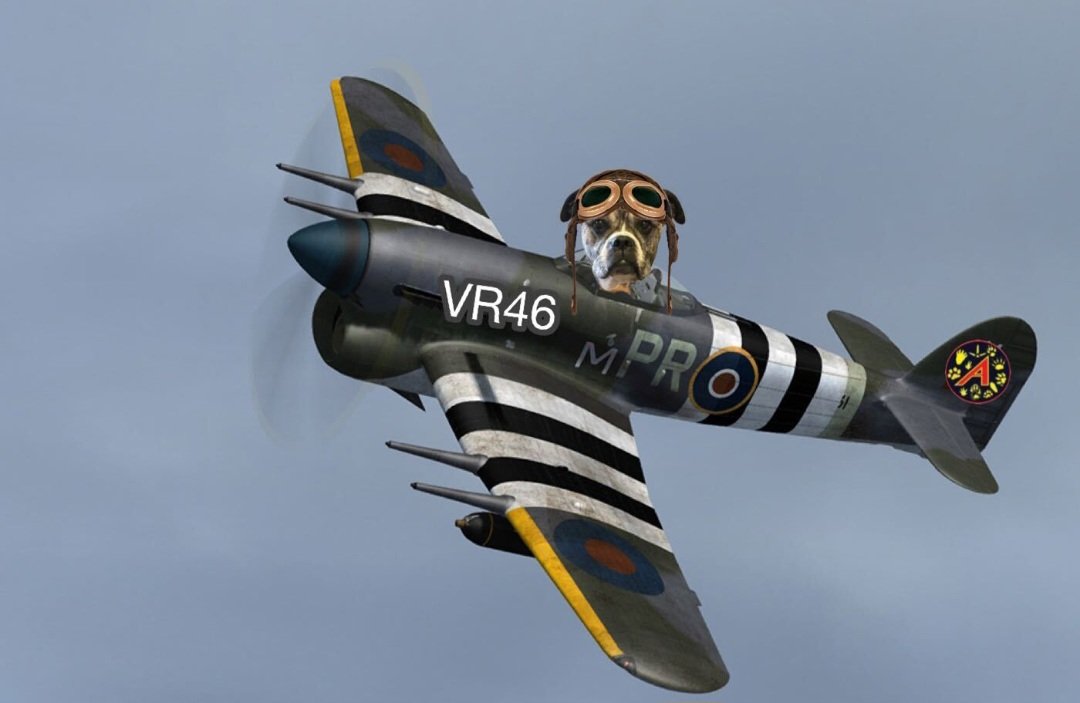 Lola (@lolamennola) on Twitter photo Flt Ldr Zippy <a href="/BungandZip/">Zippy, Freddie, Brodie and Angel Bungle🌈</a> Captain Lola, VR46, is airborne & joining the rear of the flight. #TheAviators Flt Ldr Zippy <a href="/BungandZip/">Zippy, Freddie, Brodie and Angel Bungle🌈</a> Captain Lola, VR46, is airborne & joining the rear of the flight. #TheAviators