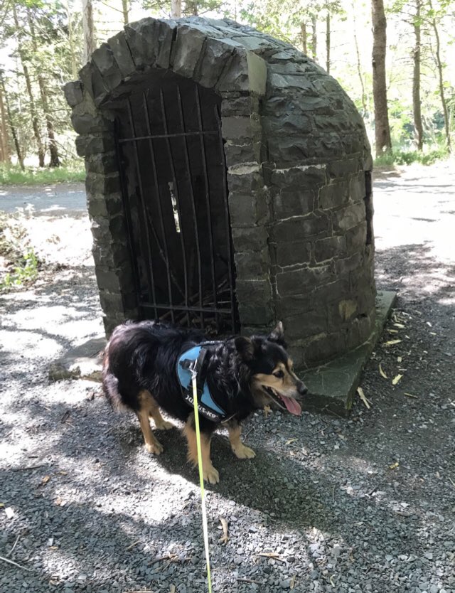 Step right up folks you could be the next contestant on “Roast dat Rodent”