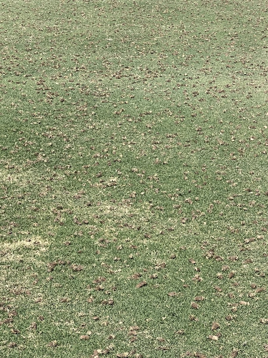 LinesAndLogos's tweet image. Chopped up the zones so pump stopped tripping. Pullin plugs! Double drag. Pounded with 21-0-0. H2ooo. Gonna raise HOC to 5/8. Maryvale prep is gonna blow. Can’t wait for mid August. This one’s been 2 years in the making. Thanks Paul! @HelenaAgri