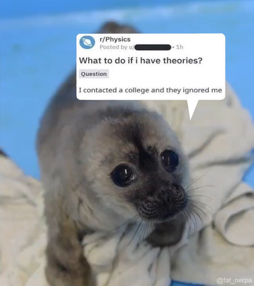 amy🦭 (@fat_nerpa) on Twitter photo 