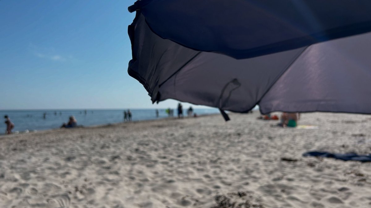 omarbv's tweet image. Sandhammaren Beach.