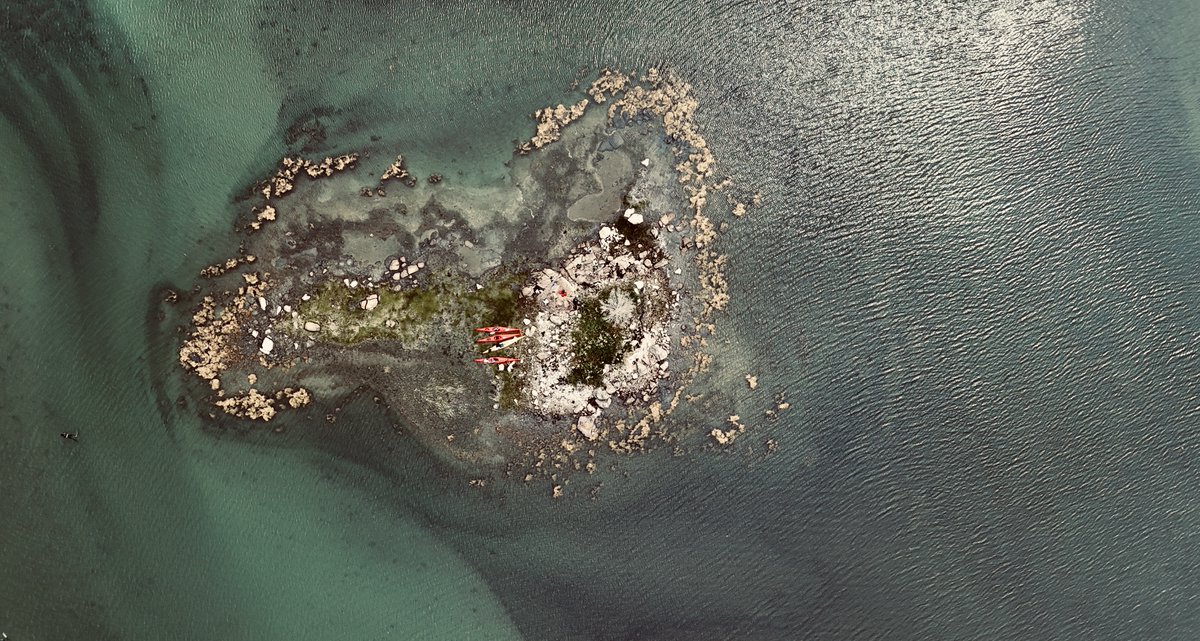 NSwilderness's tweet image. We kayak out to small islands
We jump in the water
We do science
Repeat