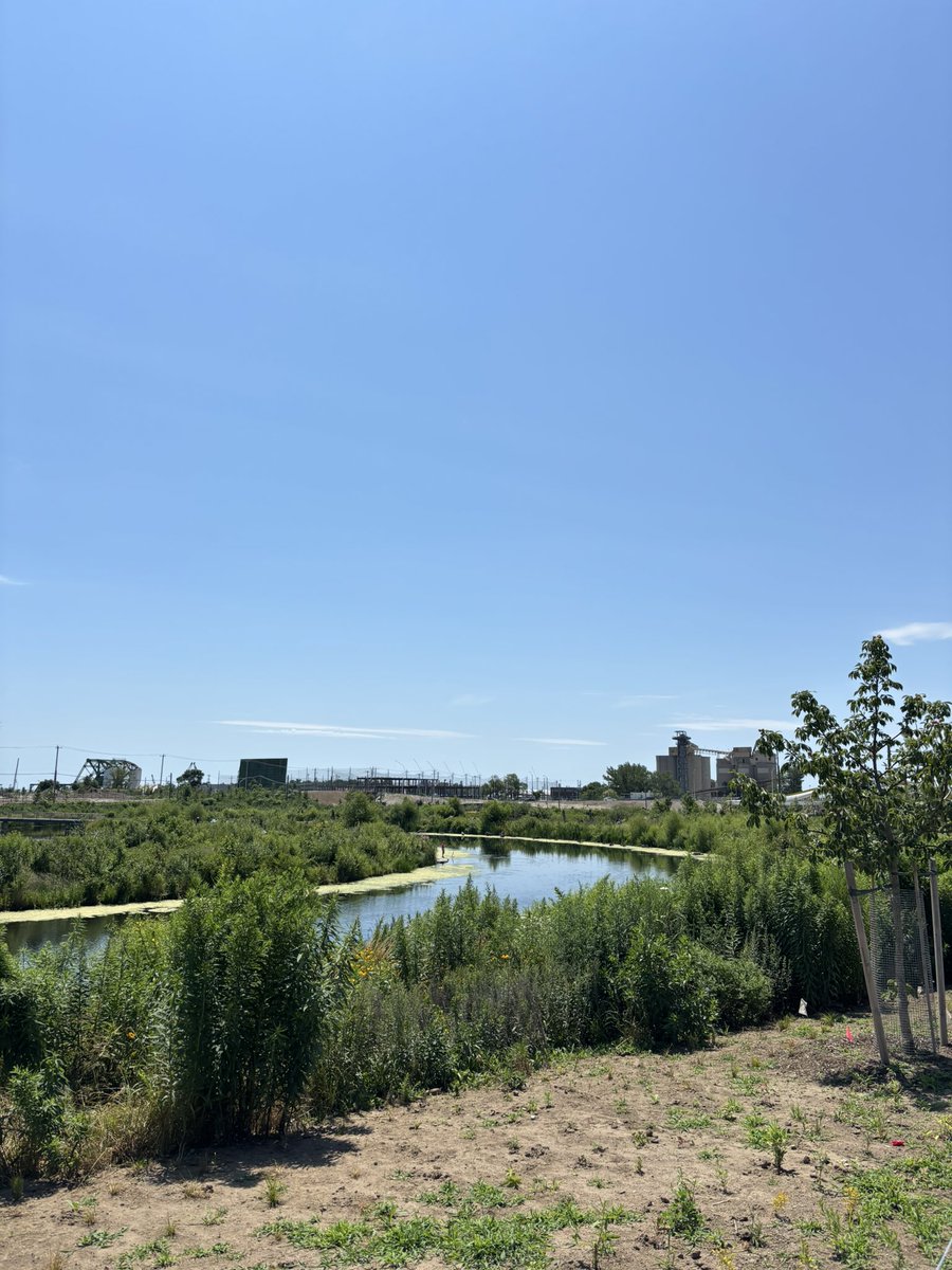 DrKateTO's tweet image. Sometimes it’s easy to get bogged down in the could haves and should haves of #topoli.
But then we are reminded of what can happen with a vacant lot, and polluted industrial parklands, and the potential of this beautiful place we call home. #ShowLoveTO