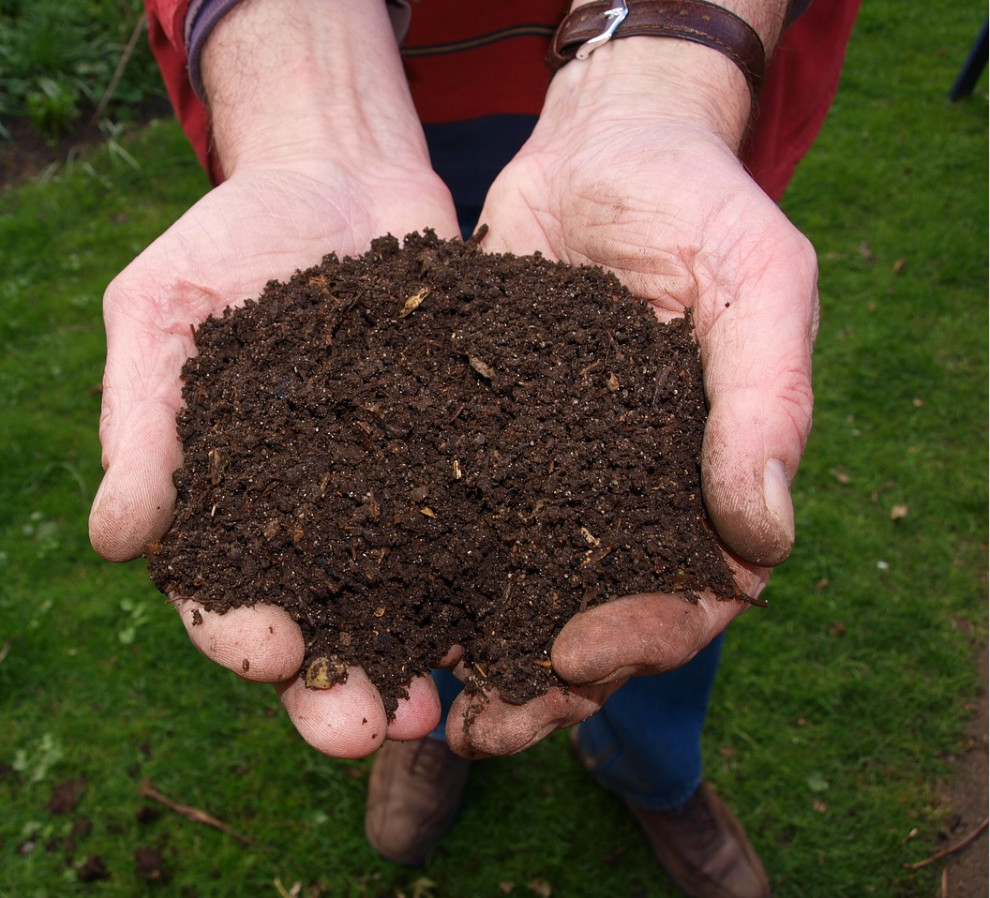 TheGrowNetwork's tweet image. What if you could get nutrient dense compost AND it was not only cheap and easy, but... you do do it in a small indoor space? 👏👏 ➤ thegrownetwork.com/small-space-co…
#composting #vermiculture