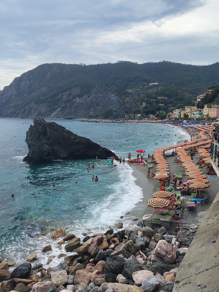 Valeria Faccenda tweet media