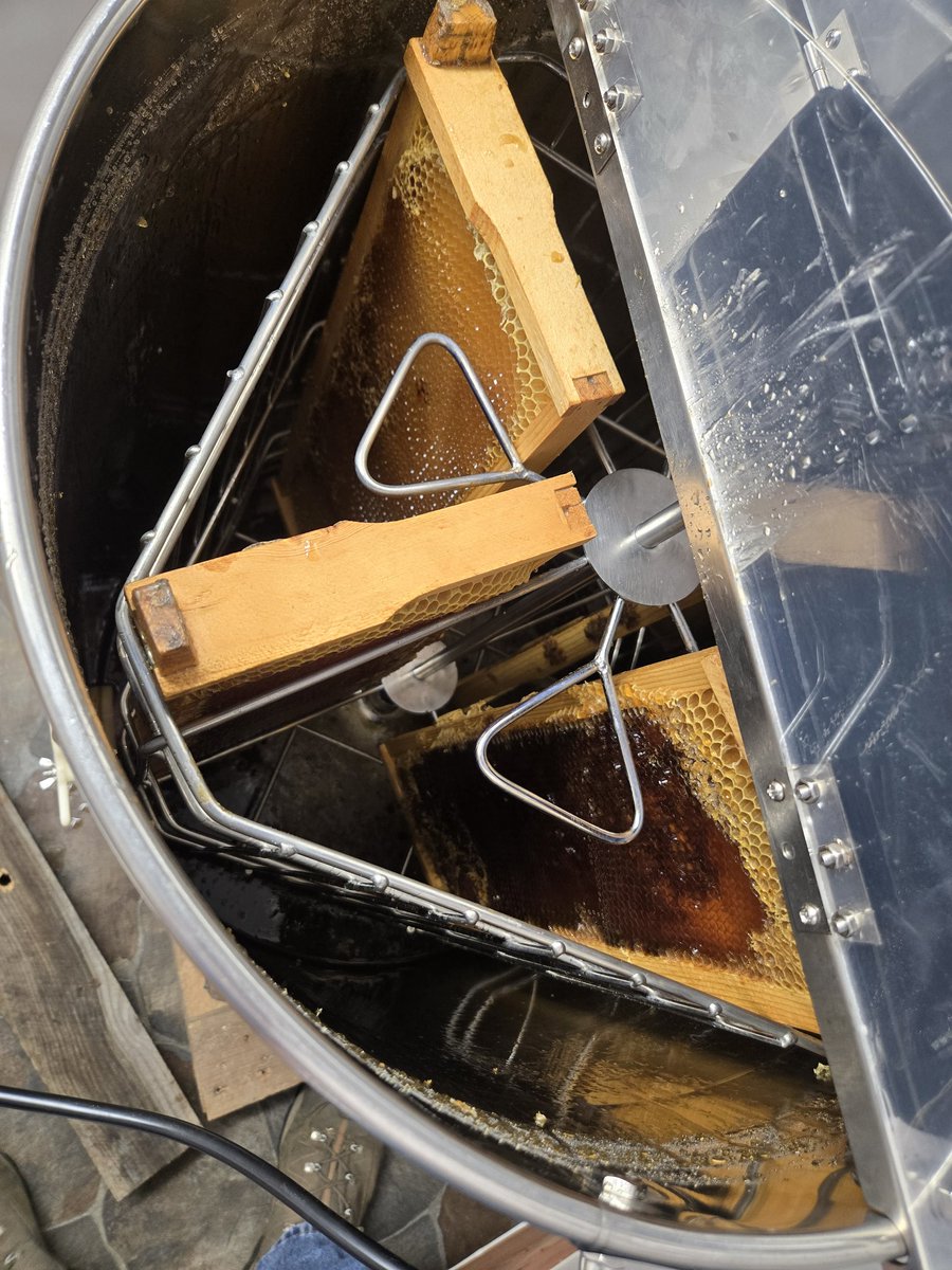 thiXXsniXX's tweet image. A little time with the Bees
🐝
Hive care and honey gathering.
Local honey has endless health benefits.
🍯