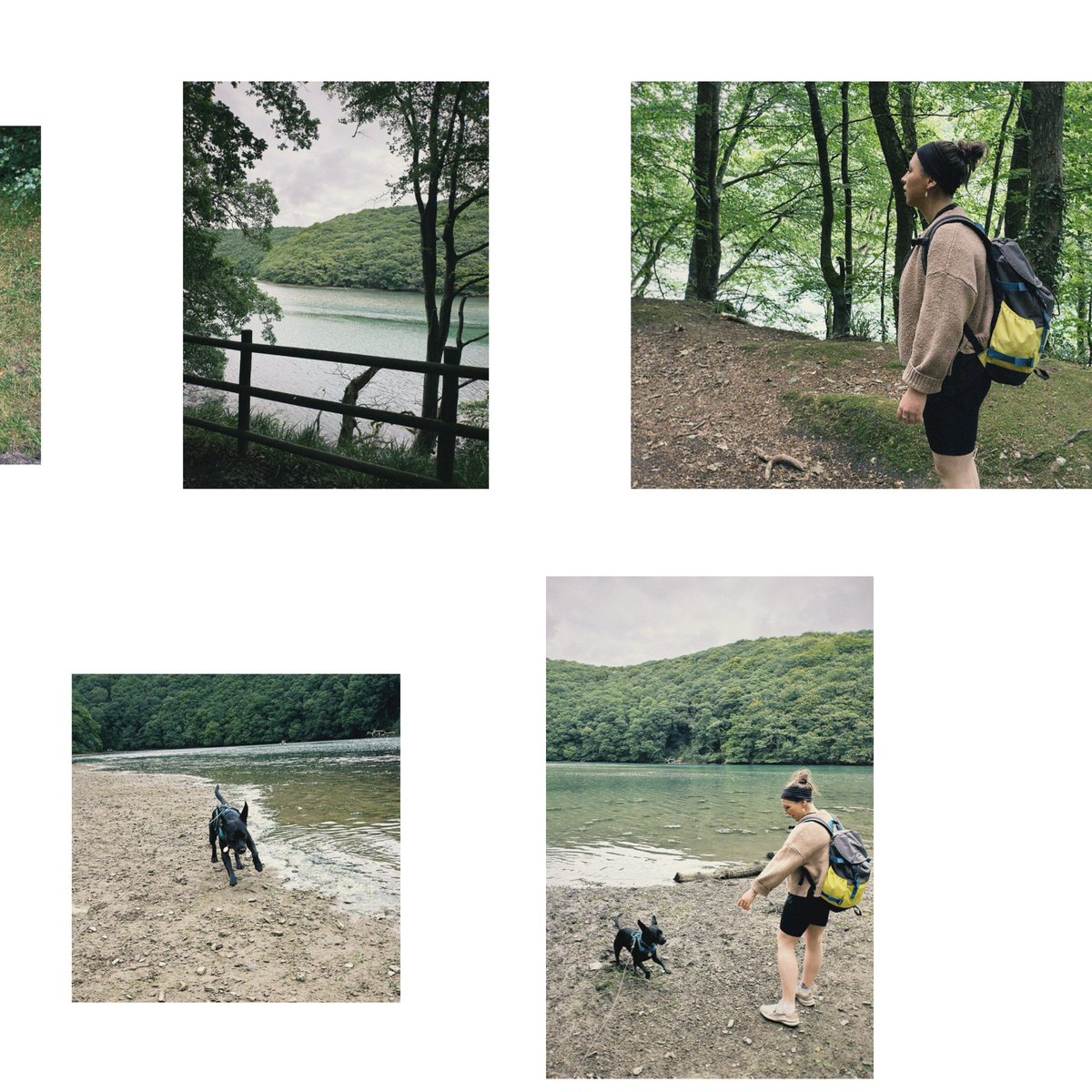 Sam Clark tweet media