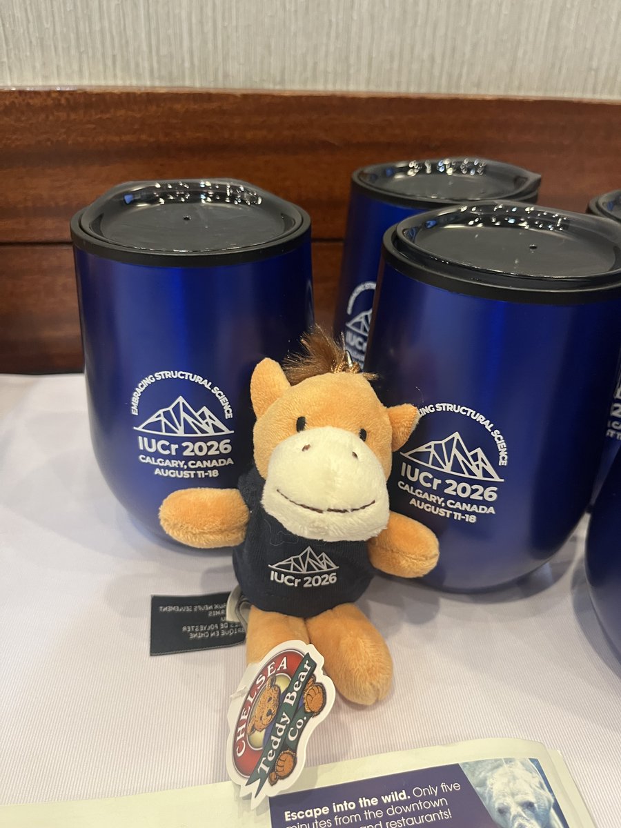IUCr2026's tweet image. Cal the Calgary Stampede horse is having a blast visiting the exhibitors at #ACA2025! Come visit the #IUCr2026 booth at #ACA2025 to find Cal and gear up for Calgary!
