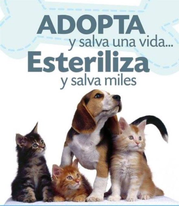 Guadalupe Ramirez (@gramirezf_d) on Twitter photo 