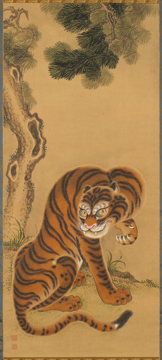 JapanTraCul's tweet image. Tiger Cleaning Its Paw, by Matsui Keichu, early 19th century