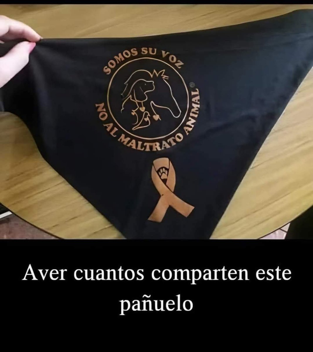 Guadalupe Ramirez (@gramirezf_d) on Twitter photo 