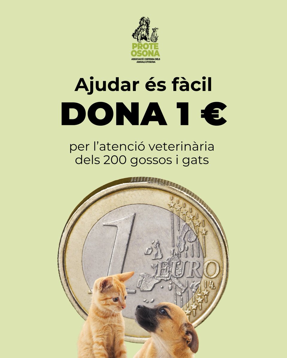 Ajudar és fàcil. DONA 1 €: teaming.net/proteosona

Per l'atenció veterinària dels 200 gossos i gats de la Protectora d'Animals d'Osona.

#solidaritat #NoAbandonis