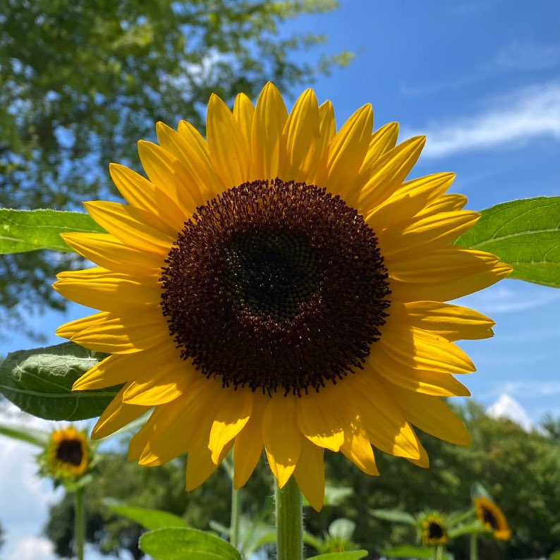 ひろみ 🦋 (@u90pVKxMdO9ffre) / Posts / X