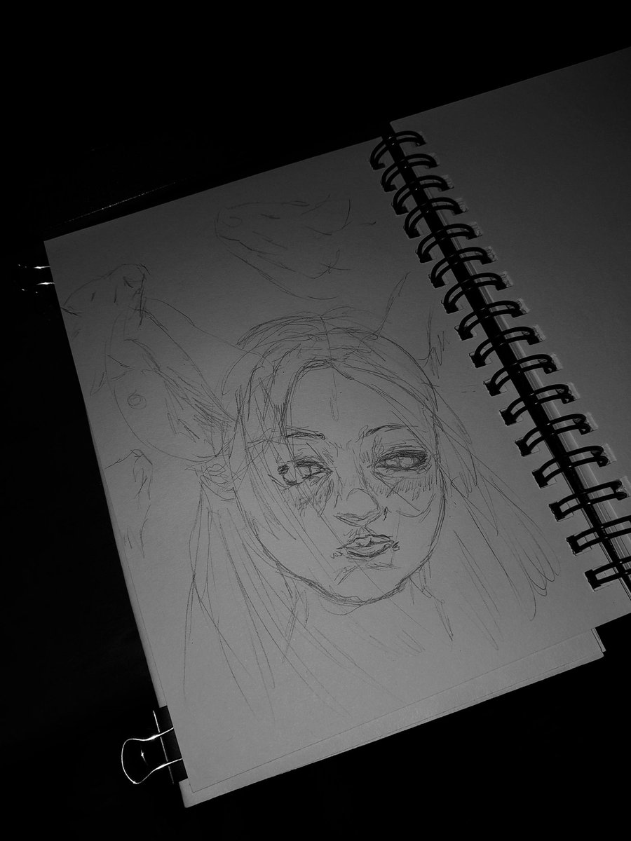 NobodyAlive_'s tweet image. Feeling a bit ill lately, so I only have a quick sketch of Noelle to offer
#Arcadiafanart #MissNoelleValentineFanart