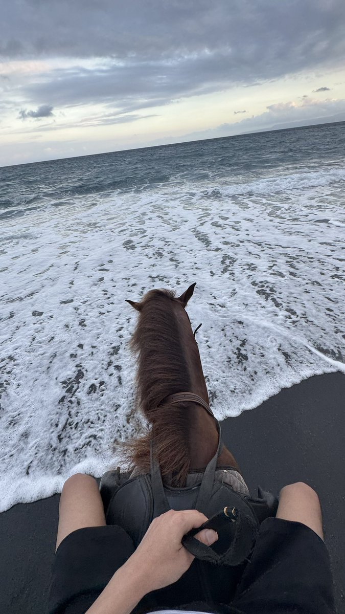 hz3__'s tweet photo. 🏖️. https://t.co/tTEhTRGoQS