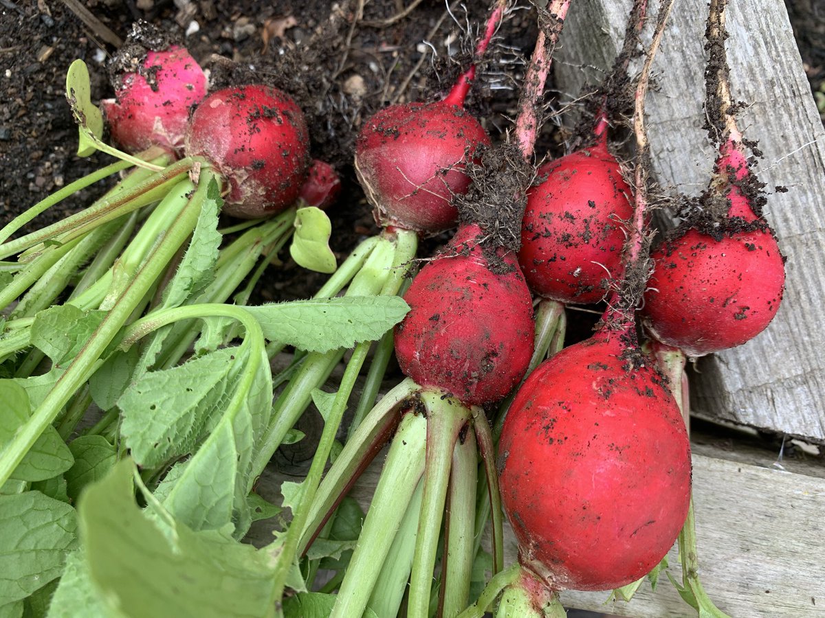 Mark Shephard 🏳️‍🌈 tweet media