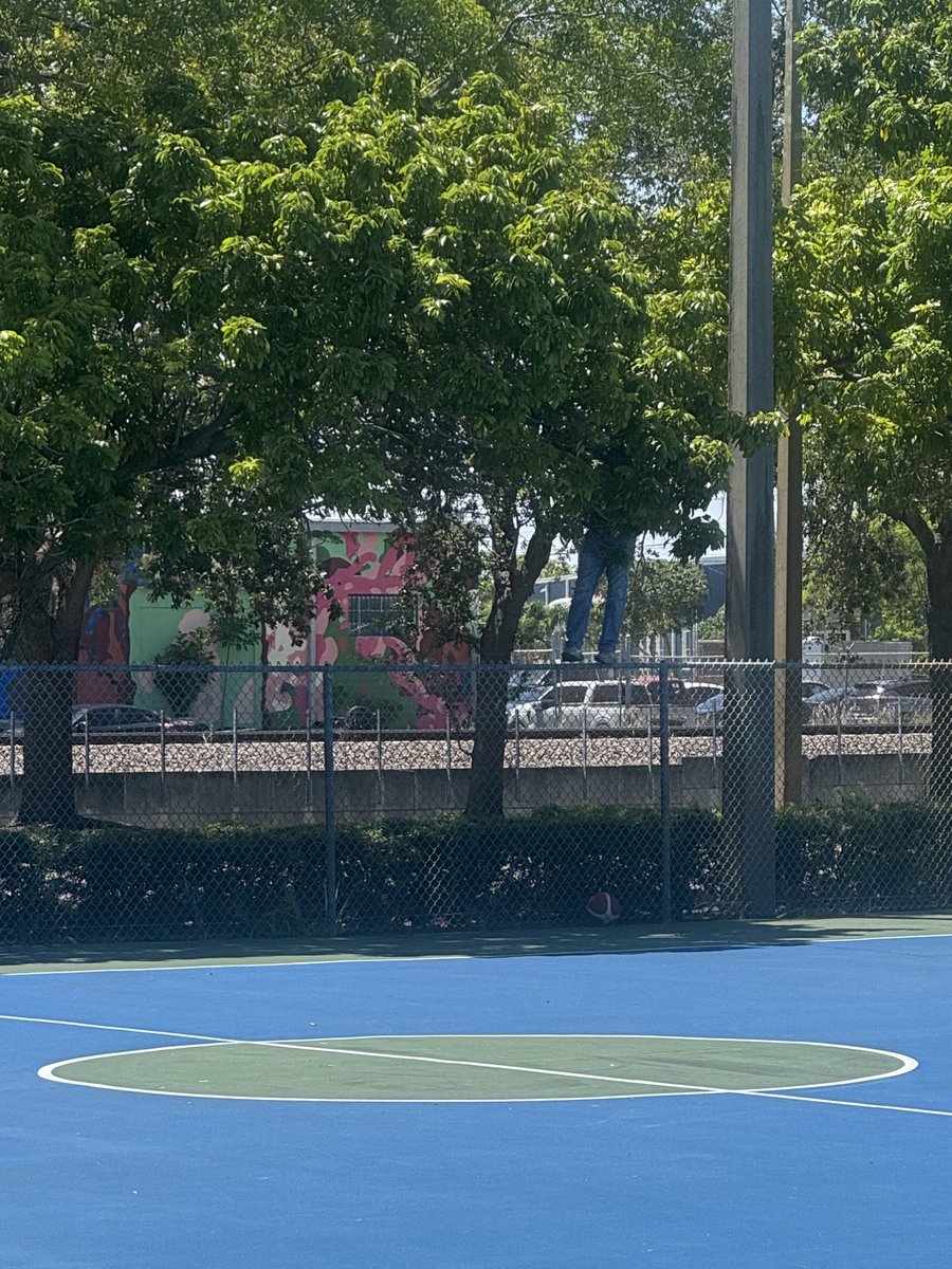 MaclainRowan's tweet image. What is he doing up there