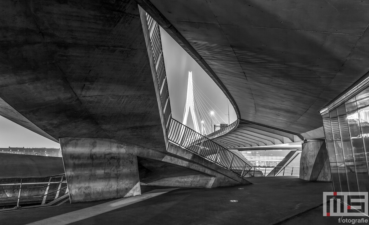De prachtige Erasmusbrug in Rotterdam by Night

#rotterdam #erasmusbrug #fotograaf #photographer #architecture #urban #maas #rdam #bridge #nightphotography #brutal #concrete

Meer op: ms-fotografie.nl
