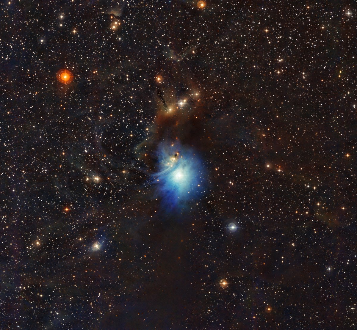 universal_sci's tweet image. IC 2631: A breathtaking celestial masterpiece also known as the Reflection Nebula.
(Credit: ESO)