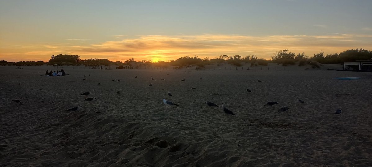 jcabram's tweet image. Mi ángel, te busco en la inmensidad del océano, en tu lugar favorito.
Te siento junto a mi, en el rugir de las olas que rompen en tu querida orilla.
Te veo en las imágenes de mi retina y en la memoria de mi cerebro.
Siento tu caricia cada vez que me envuelve el viento, sí, ese…
