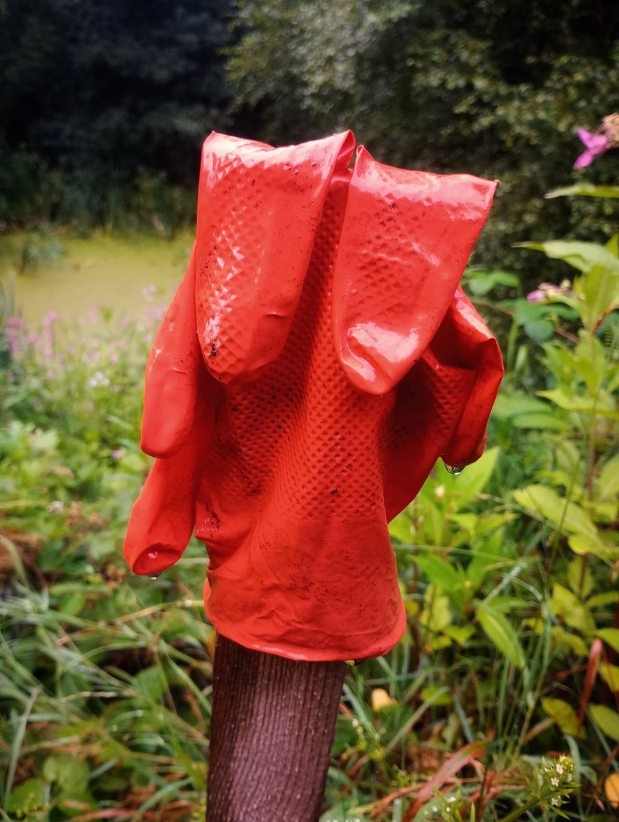 BLTP 🇺🇦 tweet media