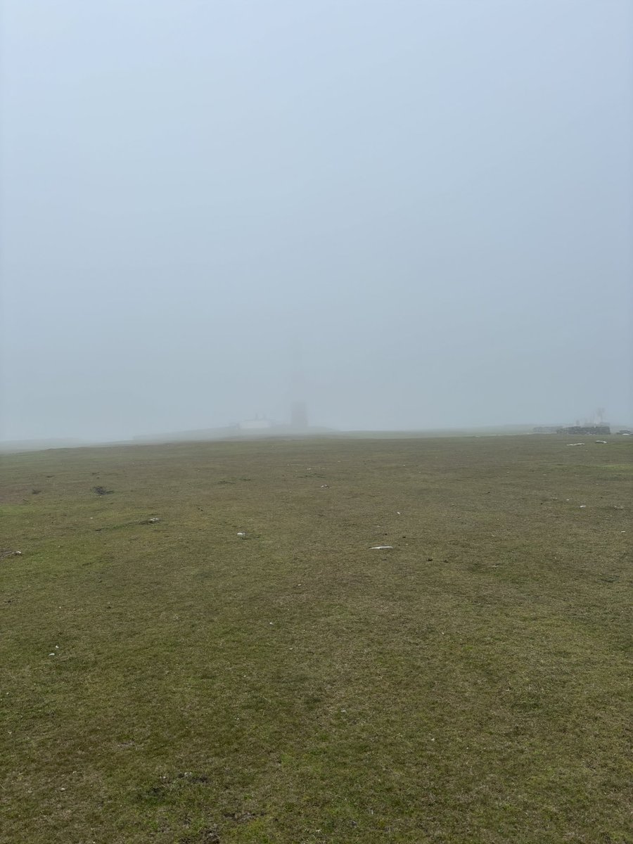 Maddy Hine (@maddyhine280) on Twitter photo Could just about make out this Curlew Sandpiper in the thick fog today <a href="/NRonBirdObs/">North Ronaldsay Bird Observatory</a>! Couldn’t even see the top of the lighthouse! 😶🌫️ Could just about make out this Curlew Sandpiper in the thick fog today <a href="/NRonBirdObs/">North Ronaldsay Bird Observatory</a>! Couldn’t even see the top of the lighthouse! 😶🌫️