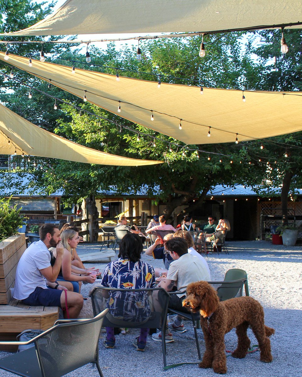 Sliding into summer at Loflin Yard in Memphis, a fantastic spot to relax and enjoy a refreshing drink and delicious meal. 

📸 loflinyard
