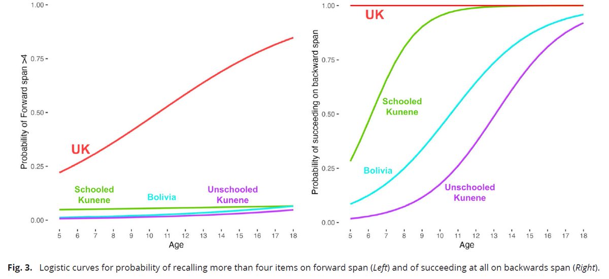 Cross-cultural research in intelligence can get very complicated. One challenge is that basic tasks used to measure cognition are often not as universal as they may seem to people in Western countries. A new article in <a href="/PNASNews/">PNASNews</a> explores this.

The authors administered executive