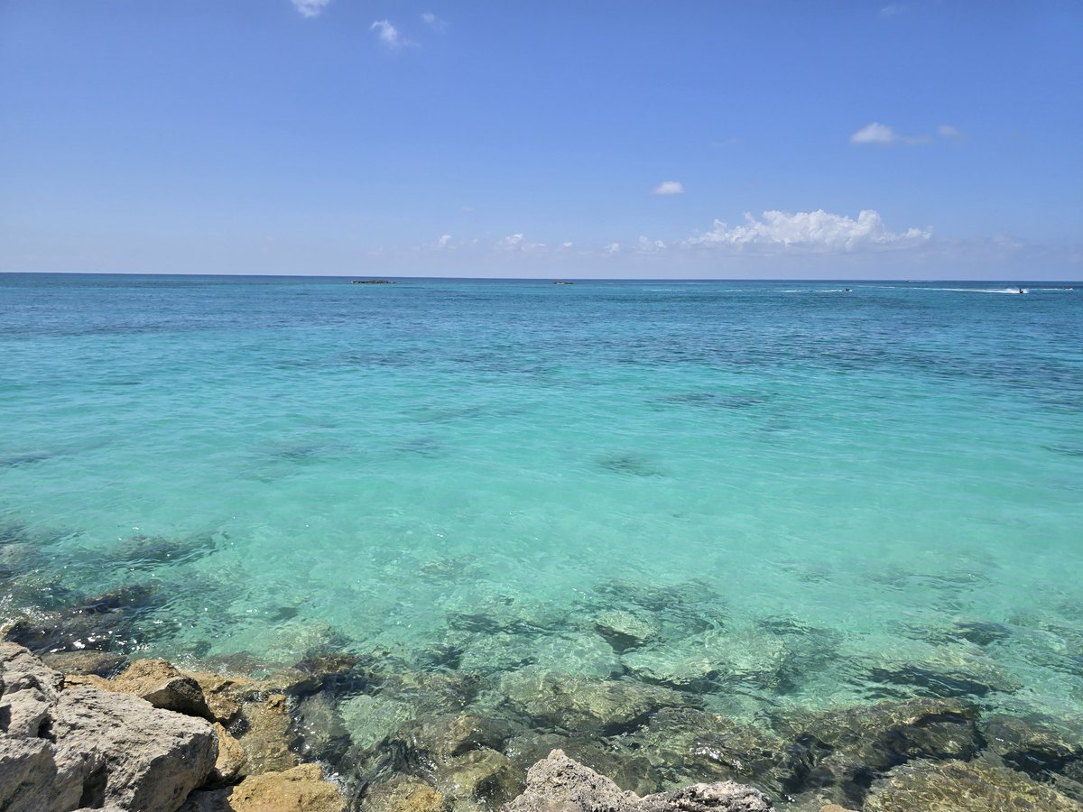 aus877's tweet image. Water at the Bahamas is clearer than a pool today. Absolutely georgous.