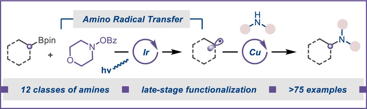 Boron_Chemistry's tweet image. C(sp3)–N Coupling of Nonactivated Alkyl Boronic Pinacol Esters by the Merger of Amino Radical Transfer and Copper Catalysis (@J_A_C_S): pubs.acs.org/doi/10.1021/ja… (@sbera01).