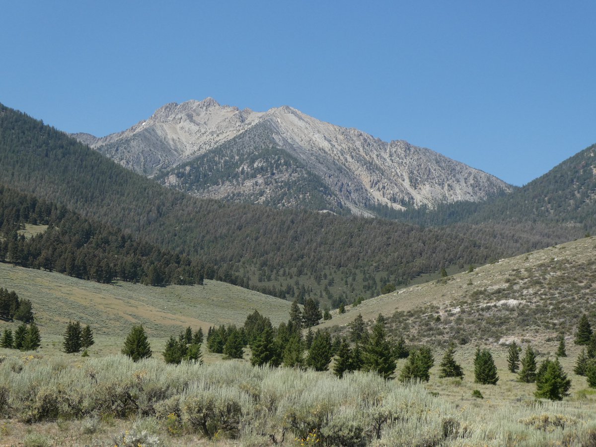 AliDriverUK's tweet image. Huge thanks to Dave Stricklan and @RewildingNow for hosting me at their Mandalai ranch in Idaho to witness wild horse reintroduction with horses from elsewhere which would otherwise be heading for the slaughterhouse. Part of the Yukon to Yellowstone wilderness corridor extension.