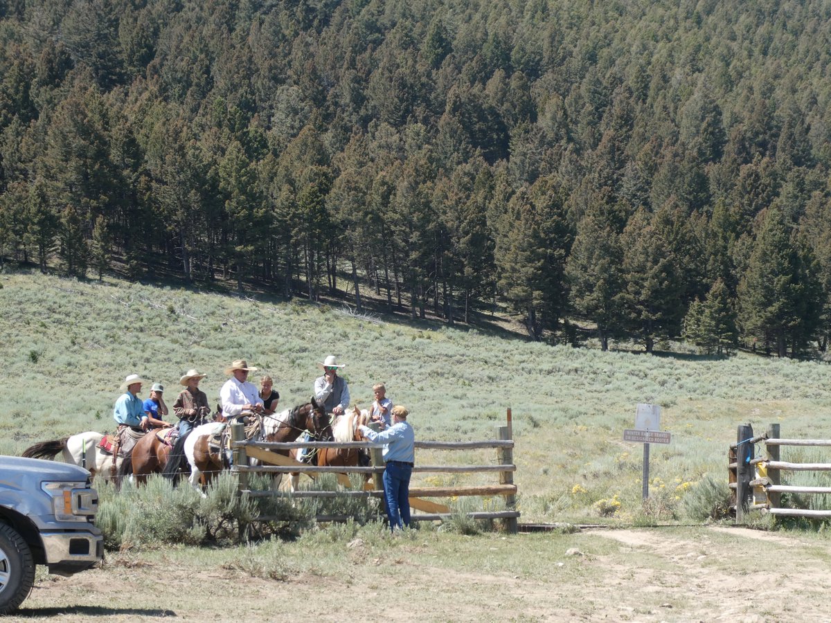 AliDriverUK's tweet image. Huge thanks to Dave Stricklan and @RewildingNow for hosting me at their Mandalai ranch in Idaho to witness wild horse reintroduction with horses from elsewhere which would otherwise be heading for the slaughterhouse. Part of the Yukon to Yellowstone wilderness corridor extension.