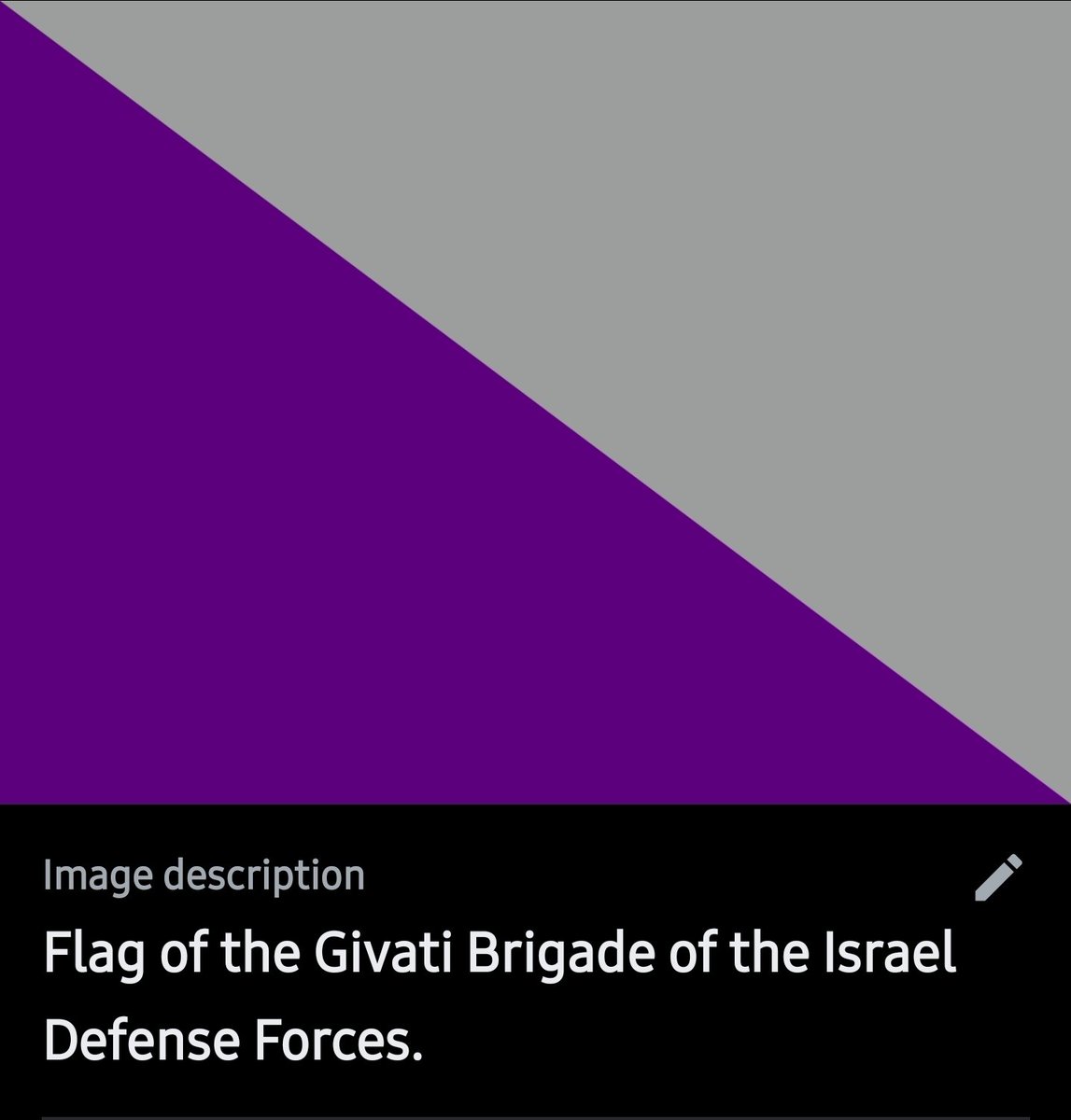 KarimHassoun_79's tweet image. The murderous #Givati brigade flag spotted at @tomorrowland during the set of Israeli DJs @vinivicimusic.
Two IDF war criminals, against whom @HindRFoundation has filed an official complaint, are also present on site...
The celebration of impunity in the heart of #Europe!