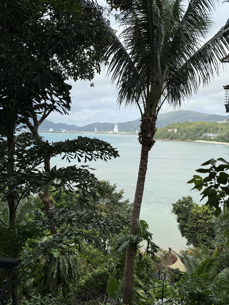AcaciaWiley's tweet photo. Thailand 📍 https://t.co/t8s81mafrZ
