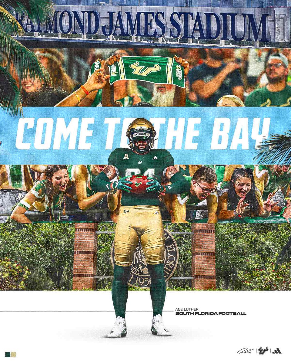 Aceluther84's tweet image. #gobulls