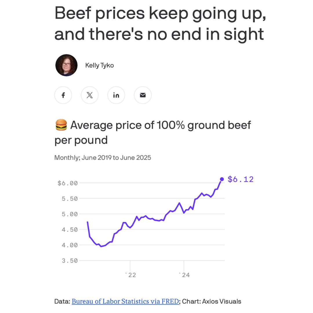 amyklobuchar's tweet image. President Trump promised lower prices. Instead, Americans are getting tariffs and turmoil and record-high beef costs at the grocery store.