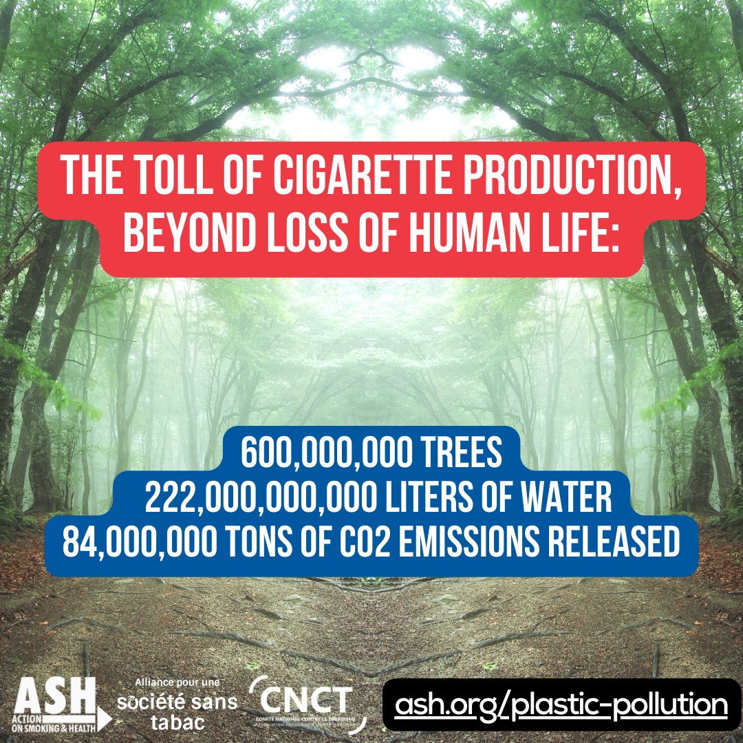 It's time to put an end to the unnecessary single-use plastic of cigarette filters, and #INC52 for the #PlasticsTreaty is the mechanism to do it. 

Learn more: ash.org/plastic-pollut… 

#PlasticPollution #PlasticsCrisis #BreakFreeFromPlastics