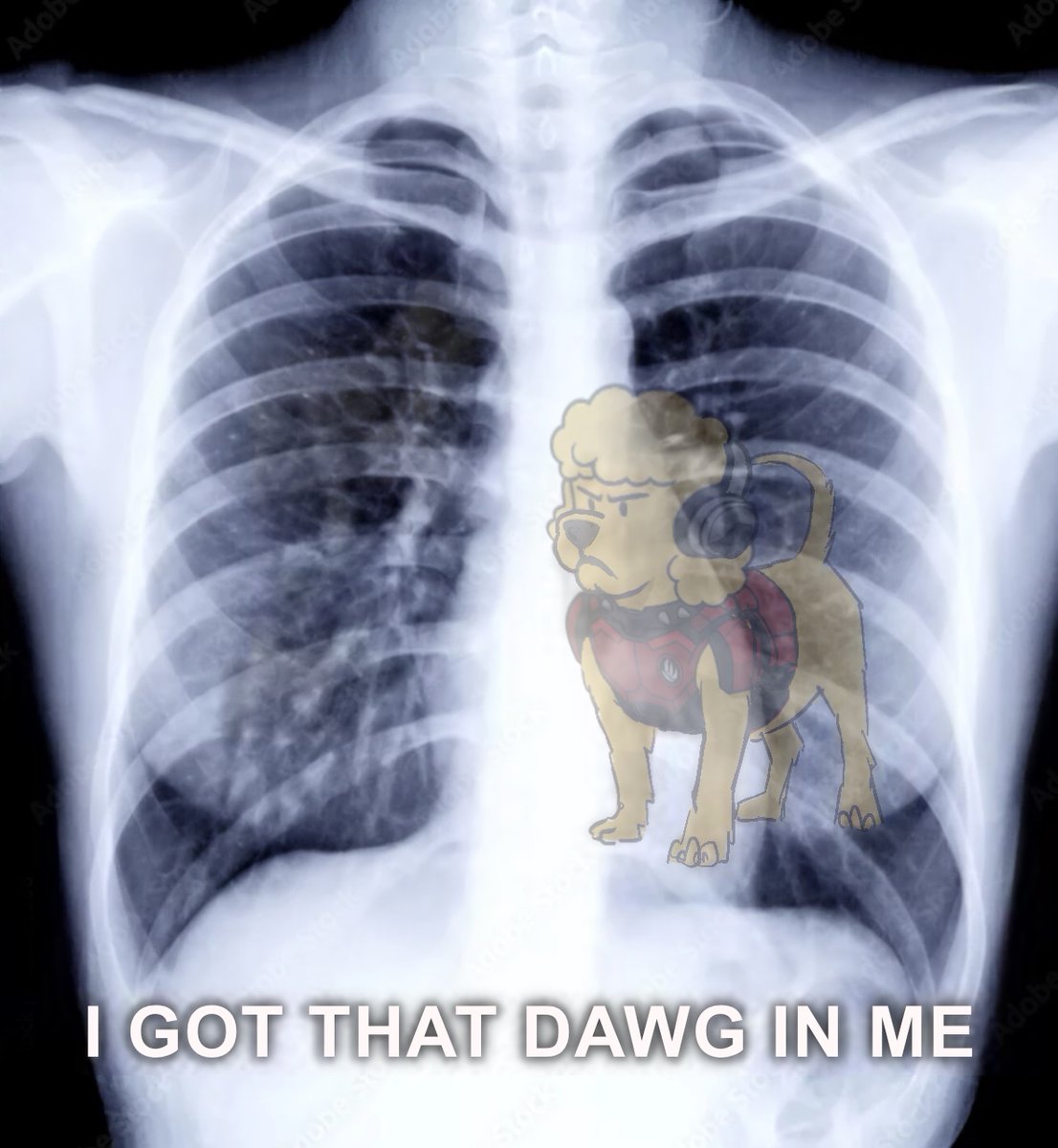 ApeChainHUB (@apechainhub) on Twitter photo Are you ranked in Spotlight: Simply Built Different yet?
- First, select up to 10 NFT Communities in your Spotlight profile: spotlight.apechain.com/loyalty/
- build your multiplier by holding NFTs/Memecoins,
- finish quests to score points and more multipliers.
Spotlight ends 7/27. Are you ranked in Spotlight: Simply Built Different yet?
- First, select up to 10 NFT Communities in your Spotlight profile: spotlight.apechain.com/loyalty/
- build your multiplier by holding NFTs/Memecoins,
- finish quests to score points and more multipliers.
Spotlight ends 7/27.