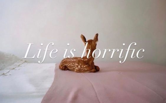 out of context deer (@contextdeers) on Twitter photo 