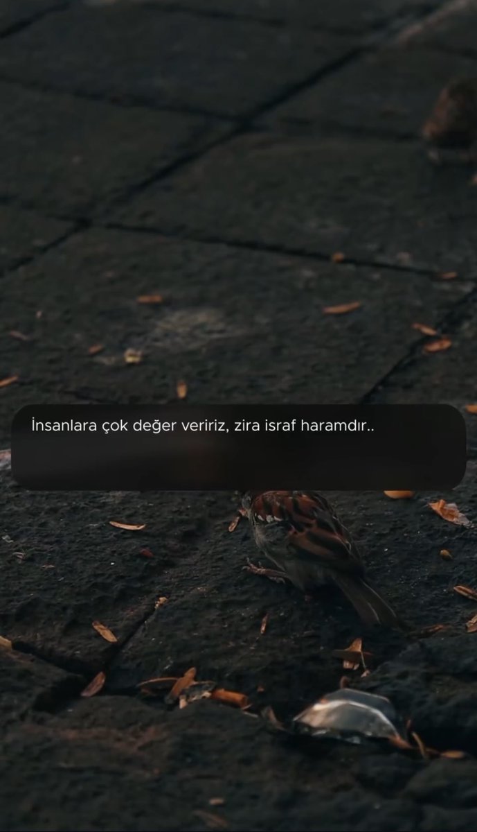 ꜰᴇʏᴢᴀ (@zarif_lisann) on Twitter photo 