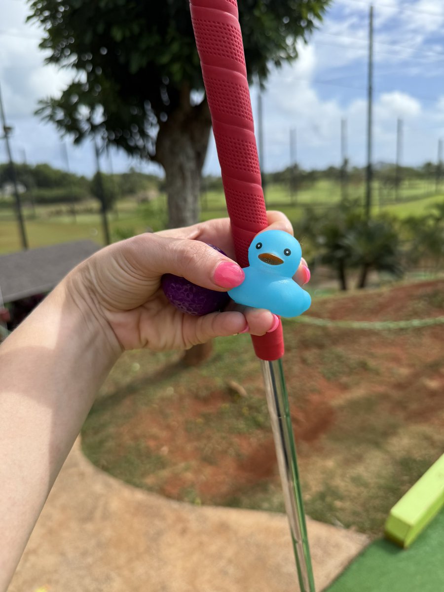 Mariah Williams (@mrswilliams_edu) on Twitter photo Confit the <a href="/DrAnthonyMS/">Anthony Middle School</a> duck enjoyed some putt putt today in Kaneohe, Hawaii #RavenSummer25 Confit the <a href="/DrAnthonyMS/">Anthony Middle School</a> duck enjoyed some putt putt today in Kaneohe, Hawaii #RavenSummer25