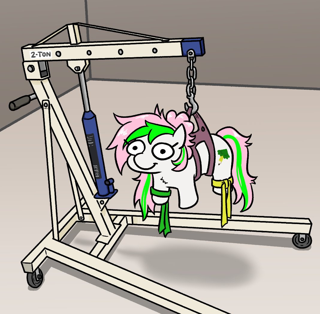 Jargon_Scott's tweet image. Some beautiful ribbon decorations, hung with care