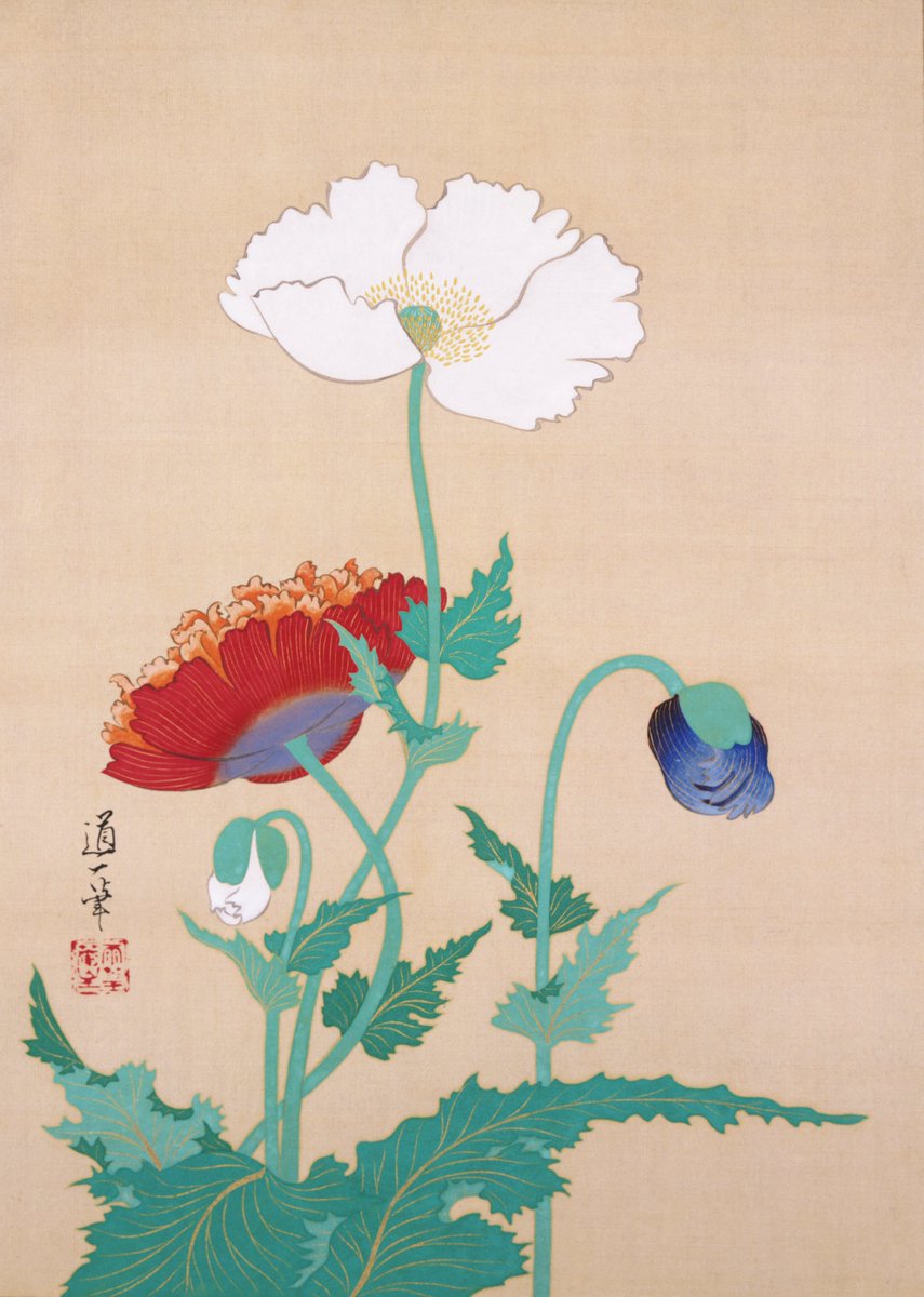 JapanTraCul's tweet image. Poppies, by Sakai Soitsu, late 19th–early 20th century