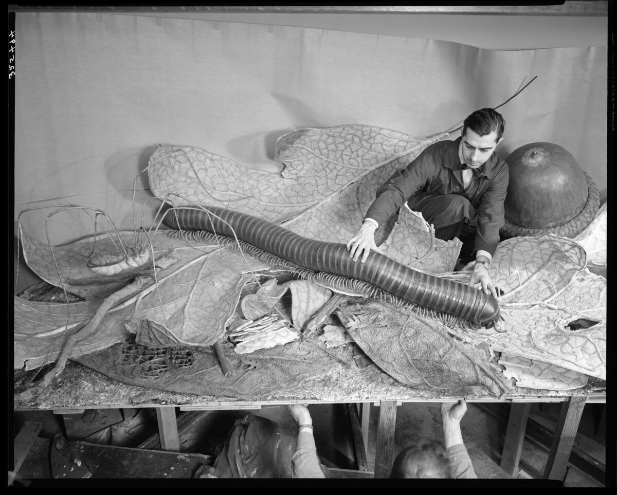 AMNH's tweet image. Today’s Exhibit of the Day? 🐛🐞🐜 The Museum’s Life on the Forest Floor Diorama. To create this up-close look—full of decomposing debris and hungry critters—Museum artists studied specimens under a microscope and then created models 24x larger than life!