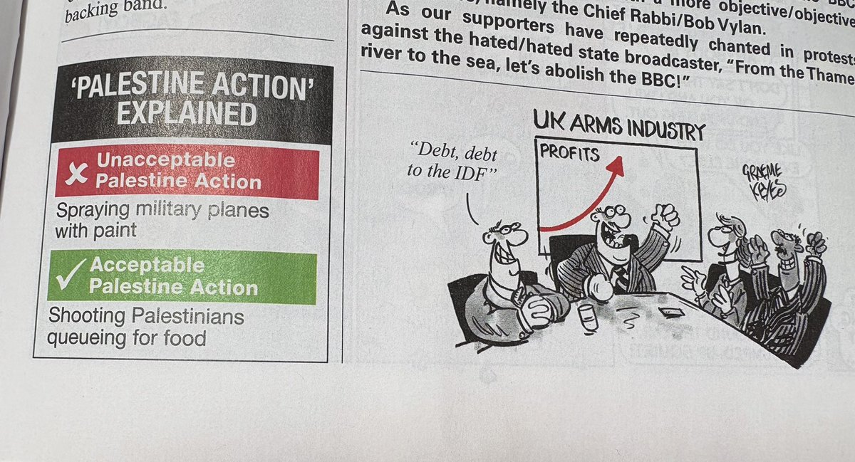 Private Eye's explanation of the Palestine Action situation is pretty spot on