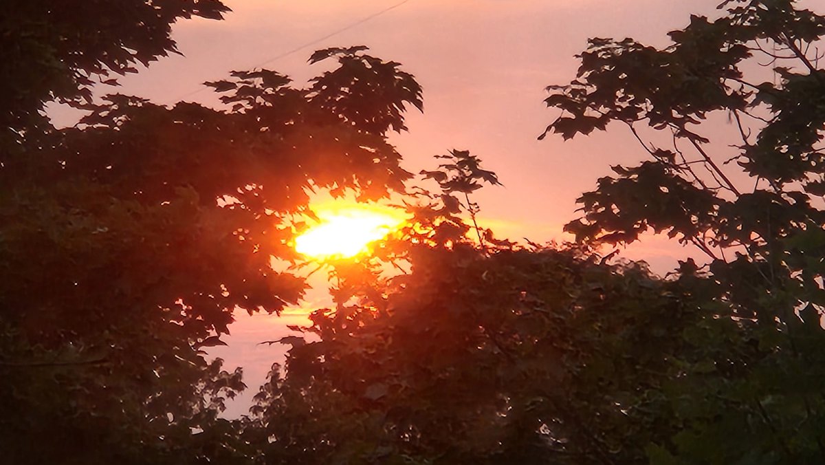 6SProductions's tweet photo. #6SPhotography #Nature #NaturePhotography #Sunset #SunsetPhotography #SunsetLovers #Sunsetgram #Orange #OrangeSky #Red #RedSky #Canada #CanadianPhotography #SamsungPhotography https://t.co/aFi9PLEJVZ