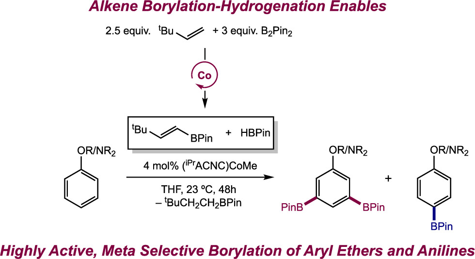 Boron_Chemistry's tweet image. Alkene Borylation–Hydrogenation Enables Highly Active, Site-Selective Cobalt-Catalyzed Borylation (@pchirik, @ChirikGroup): pubs.acs.org/doi/10.1021/ja… (@J_A_C_S).