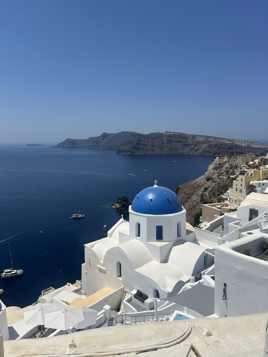 ⓁⓎⓃⒹⓈⒺⓎ 🌻 tweet media