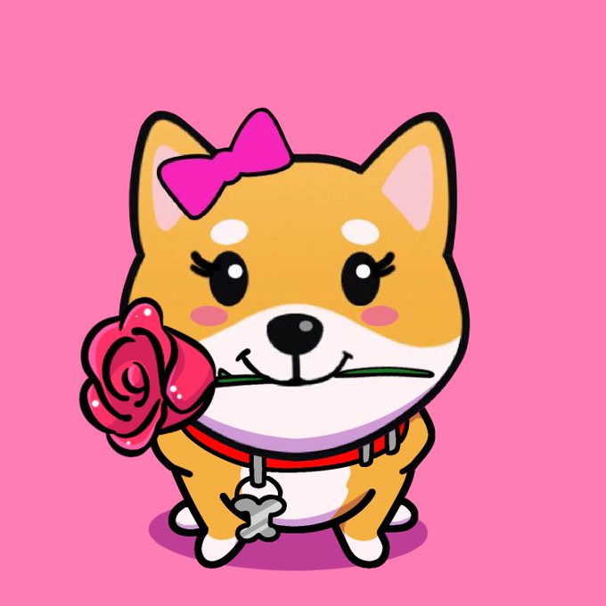 Tina Kamp💹🧲 tweet media