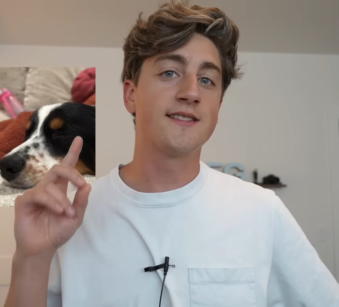 dailydankyg's tweet image. 